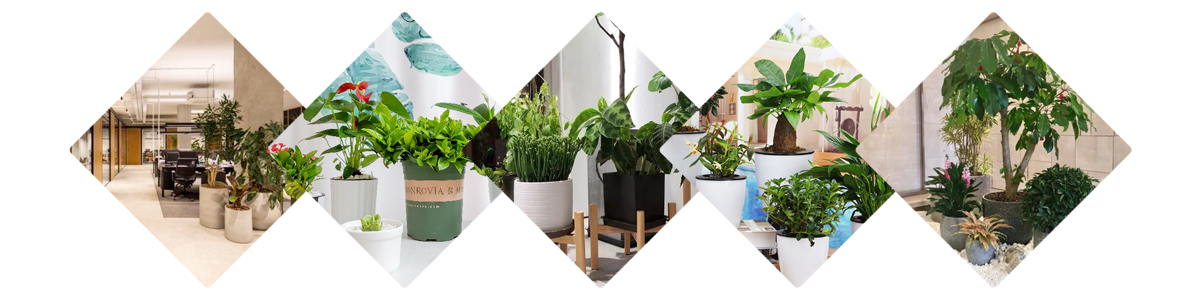 1640661439134797.jpg hj.jpg